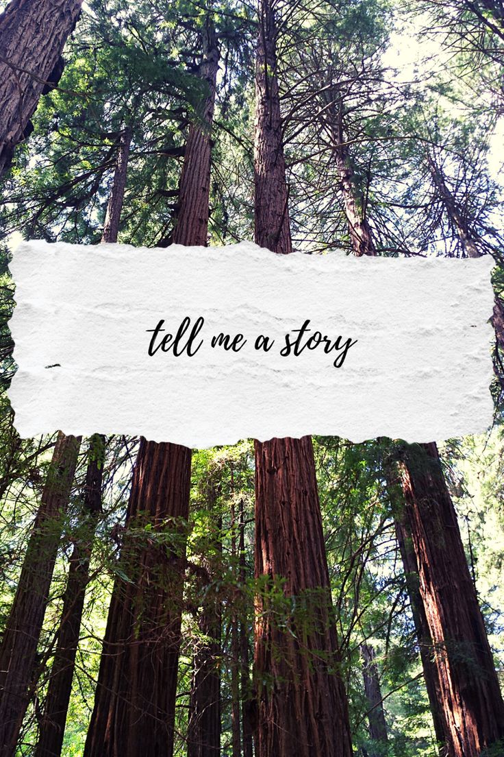 Tell Me A Story - Redwoods